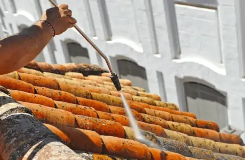 Nettoyage de toitures - Rémilly